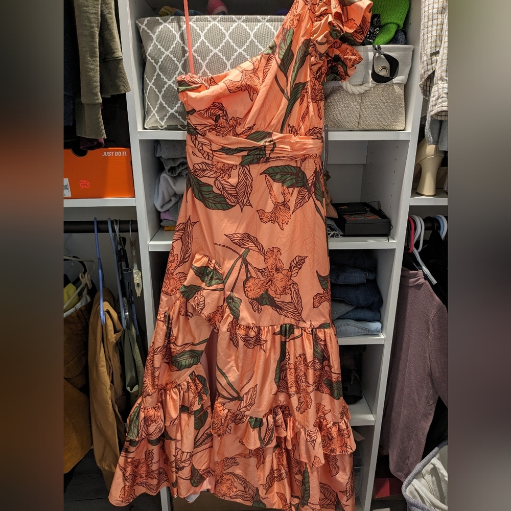 Hutch One-Shoulder Ruffle Maxi Dress